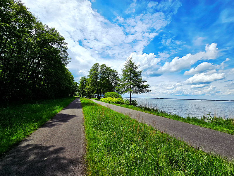 Steinhuder Meer, Natur und Umwelt